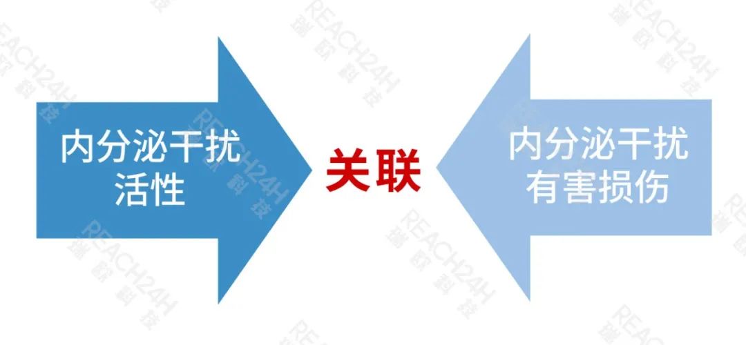 1瑞歐.jpeg 1瑞歐.jpeg