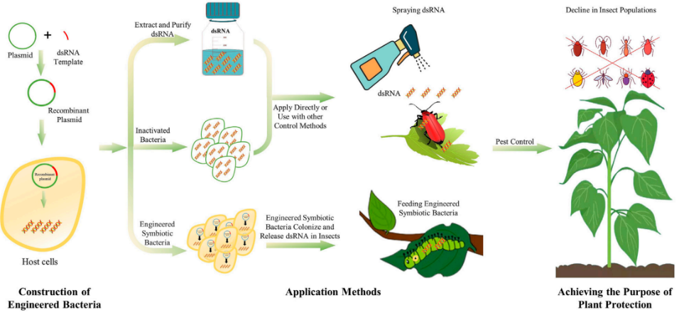 RNA農(nóng)藥3.png RNA農(nóng)藥3.png
