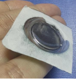 1726131645327.jpg 1726131645327.jpg